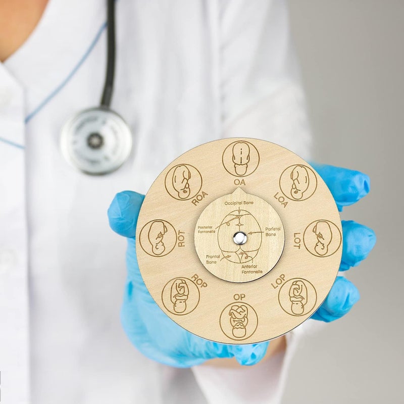 freespace Midwife fetal position tool, carved wooden fetal position wheel for student midwife doctor doula (Round) - Image 4